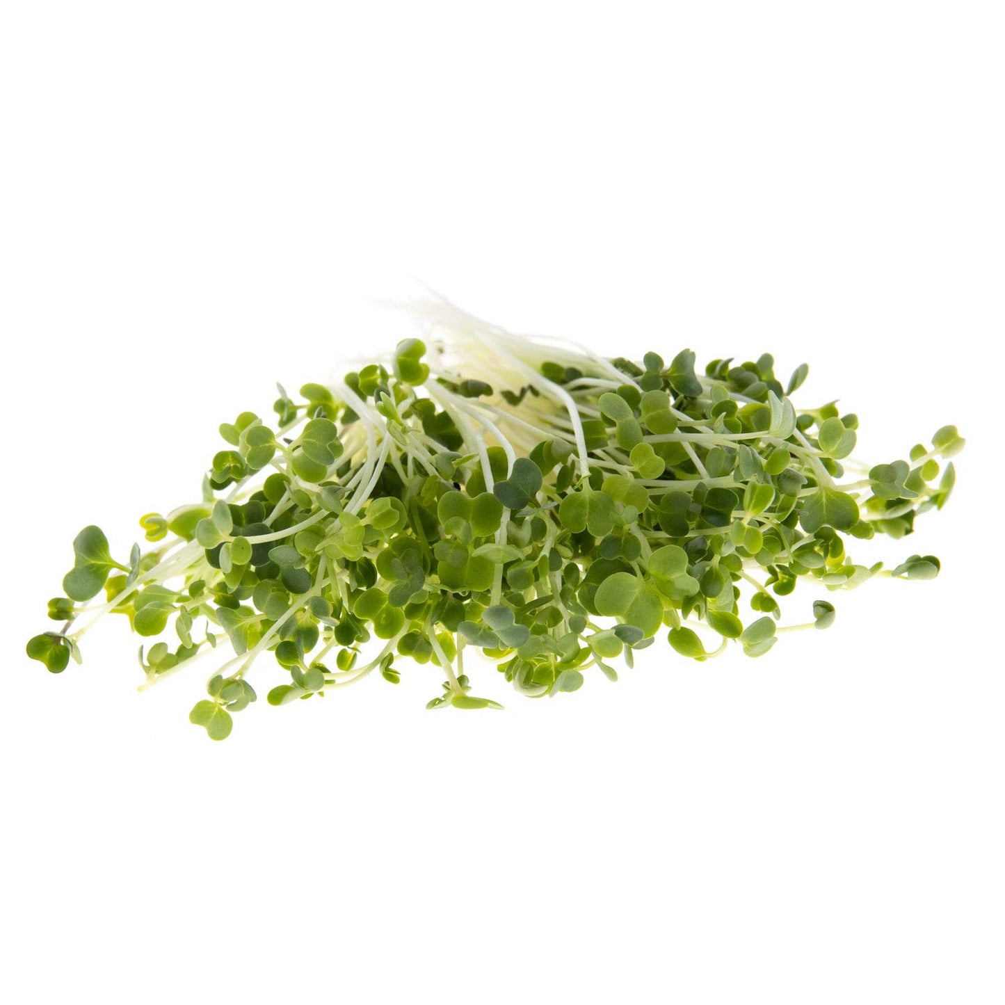 Mellow Salad Mix Microgreens